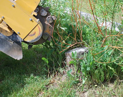 Frisco Stump Grinding